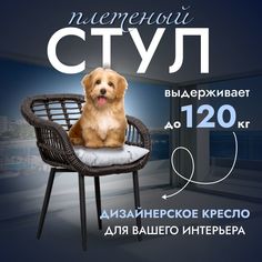 Садовое кресло, Кресло для дома, Стул из искусственного ротанга Трубки 1 шт, Венге Stuler