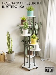 Подставка Калифорния Мебель Шестерочка дуб жемчужный, черный