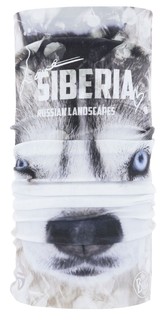 Шарф труба зимний Buff Thermonet Siberia
