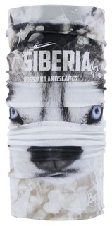 Шарф труба Buff Original Siberia
