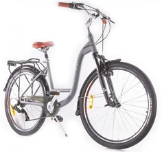 Велосипед Alpine Bike Costa (2022), M, 26", городской, 7ск., серый