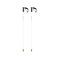 Горнолыжные палки Head Worldcup Rebels Carbon 21/22, 140