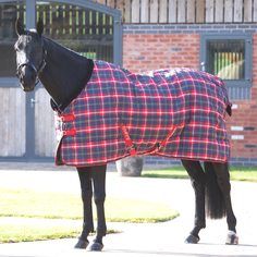 Попона денниковая для лошади SHIRES TEMPEST Plus, 1200D, 200g, 150, красная клетка