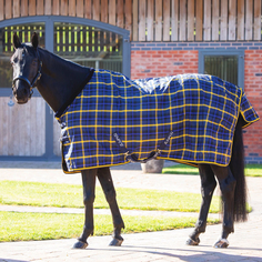 Попона денниковая для лошади SHIRES TEMPEST Plus, 1200D, 130, синяя клетка