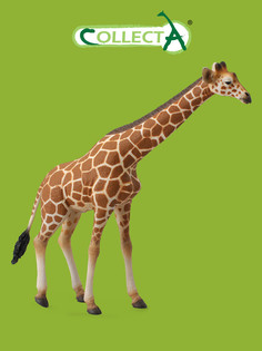 Фигурка животного Collecta, Сетчатый жираф
