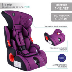 Автокресло-бустер детское AMAROBABY Big trip, I/II/III, 1-12 лет, 0-36 кг