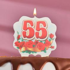 Свеча для торта цифра облако "Юбилейная" красная "55", 8 см Страна Карнавалия