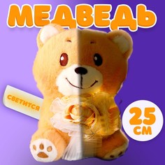 Мягкая игрушка Медведь с букетом, 25 см, с гирляндой No Brand