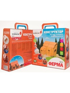 Керамический конструктор БрикМастер "Ферма" 229 деталей (207) Brickmaster