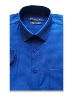 Рубашка детская Imperator Vichy 22-ПK, цвет синий, размер 164
