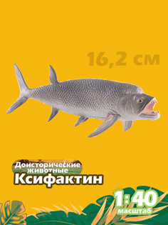 Фигурка морского динозавра Collecta Ксифактин, 1:40, 88928b