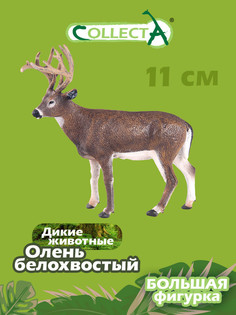 Фигурка Collecta Олень белохвостый, L