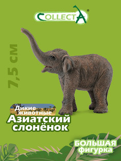 Фигурка животного Collecta, Азиатский слонёнок