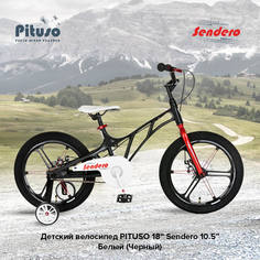 Детский велосипед Pituso Sendero 18" Черный