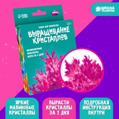 Набор для творчества «Лучистые кристаллы», цвет малиновый No Brand