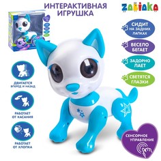 Интерактивная игрушка «Мой друг Джек», звуковые и световые эффекты No Brand