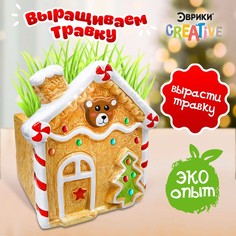 Набор для опытов «Выращиваем травку», домик ЭВРИКИ