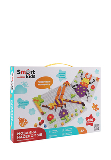 Развивающая игрушка "Насекомые" B11081 Smart kids