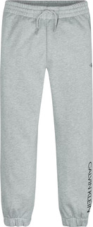 Брюки детские Calvin Klein Institutional Hr Sweatpants серый 134