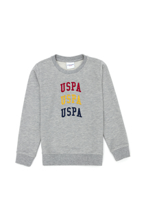 Свитшот детский US Polo Assn G083SZ0820RAMEN23K-E_VR086, серый, 116