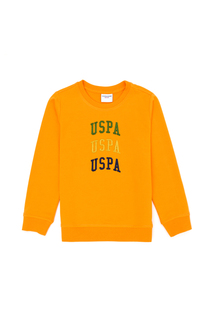 Свитшот детский US Polo Assn G083SZ0820RAMEN23K-E_VR051, оранжевый, 140