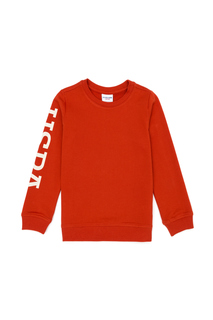 Свитшот детский US Polo Assn G083SZ0820ONIGIRI-E_VR031, кирпичный, 104