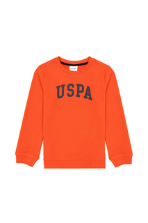 Свитшот детский US Polo Assn G083SZ0820ATECA23K-E_VR051, оранжевый, 152