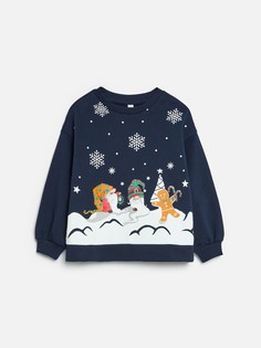 Свитшот ACOOLA 20220170121, синий, 122, для девочек