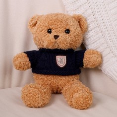 Мягкая игрушка «Медведь» в кофте, 28 см, цвет МИКС No Brand