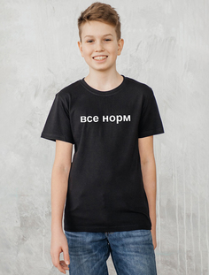 Футболка детская HappyFox HF55011M, все норм черный, 164