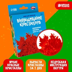 Набор для творчества «Лучистые кристаллы», цвет красный No Brand