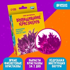 Набор для творчества Лучистые кристаллы, цвет фиолетовый No Brand