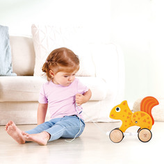 Каталка-игрушка детская Hape разноцветный E0917_HP