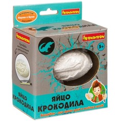 Набор Французские опыты Bondibon Науки с Буки яйцо крокодила