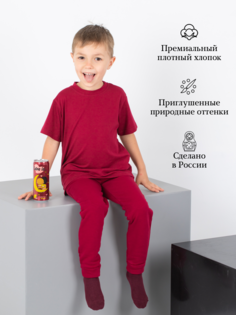 Футболка детская IWA 173649291, бордовый, 104