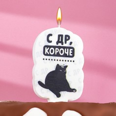 Свеча для торта "С др, короче", кот, 6,5 см, белая Страна Карнавалия