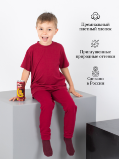 Брюки детские IWA 173780104, бордовый, 110
