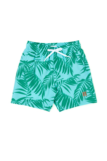 Шорты детские US Polo Assn G083SZ0660UTRECHTKIDS, зеленый, 122