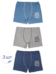 Трусы детские Baykar BR3106N, тигр,цветной, 146