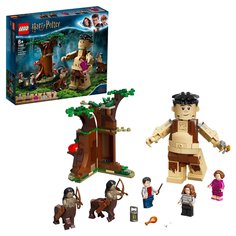 Конструктор LEGO Harry Potter Грохх и Долорес Амбридж 75967