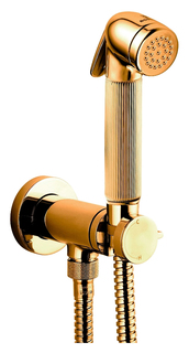 Гигиенический душ Bossini Nikita Mixer Set E37008B со смесителем золото