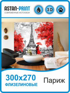 Флизелиновые фотообои Улицы города Париж 300х270 Astan