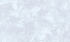 Обои WallSecret Elite 8769-14 флизелиновые 1_06x10 м