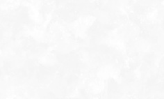 Обои WallSecret Elite 8769-10 флизелиновые 1_06x10 м