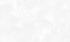 Обои WallSecret Elite 8769-18 флизелиновые 1_06x10 м