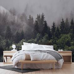 Фотообои флизелиновые встык VEROL "Лес и туман" 300х270 см, 155-ФФО-02812