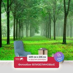 Фотообои флизелиновые ПЕРВОЕ АТЕЛЬЕ "Утренний лес" 400х235 (ШхВ)