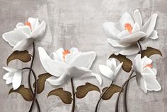 Фотообои Divino Decor Z-330 Крупные белые цветы 400х270 DIVINO