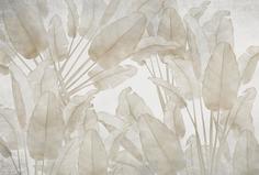 Фотообои Divino Decor F коллекцияF-284 Банановые листья беж 2 400х270-1Divino