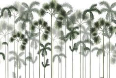Фотообои Divino Decor F коллекцияF-413 Высокие пальмы 400х270-1Divino